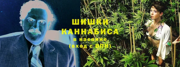 apvp Белокуриха