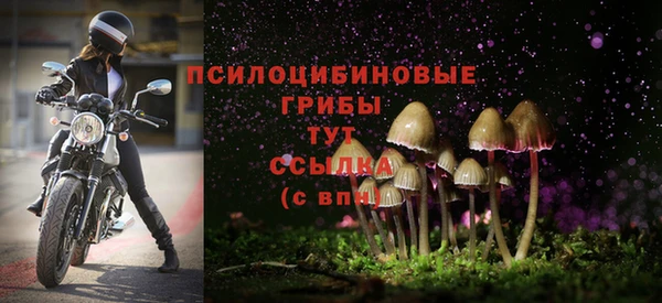 Альфа ПВП Балабаново