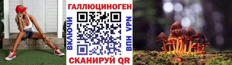Галлюциногенные грибы Psilocybine cubensis  Верещагино 